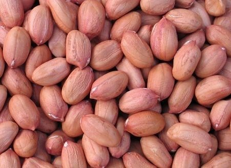 groundnut-500x500-1